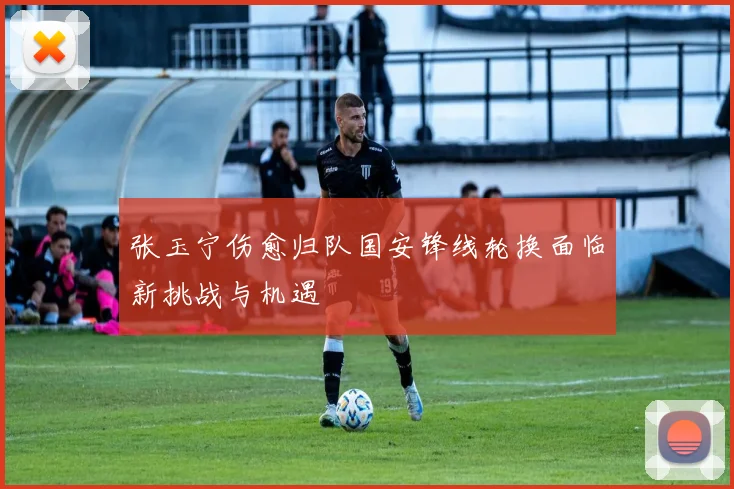 张玉宁伤愈归队国安锋线轮换面临新挑战与机遇